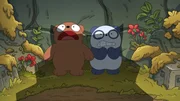 Baby Grizz, Baby Panda