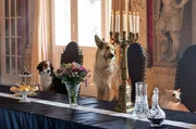Ein königliches Hundeleben - bei der Geburt wurden die Königskinder von der bösen Königinmutter durch Hunde ersetzt.