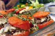 Tomaten mit einer Füllung aus Rinderhack, Kräutern, Zwiebeln, in Milch eingeweichtem Weißbrot und Ei, bestreut mit Parmesan, ergeben ein köstliches Gericht zum Genießen.