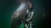 Anna von Boetticher mit einem Seehund im Marine Science Center in Warnemünde.
