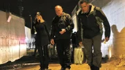 Catherine (Marg Helgenberger, li.), Captain Brass (Paul Guilfoyle, Mi.) und Dr. Langston (Laurence Fishburne) zu einem Tatort gerufen werden.