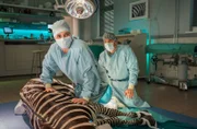 Dr. Susanne Mertens (Elisabeth Lanz, l.) versucht bis zum letzten Moment das Zebra zu retten (mit Tobias Licht, h.r.).
