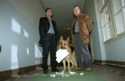 Rex zerreißt vor den Augen seiner Kollegen Hoffmann (Alexander Pschill, l.) und Kunz (Martin Weinek, r.) seinen Suspendierungsbescheid.