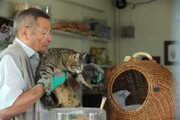 Damit der Kater Schatzi den Kiosk nicht weiter durcheinander bringt, sperrt Alois (Erich Hallhuber sen.) ihn wieder in seinen Käfig ein.