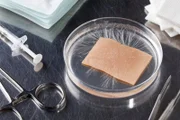 Skin grown in the lab, Human skin grown in Petri Dish 9 - ArtificialSkin