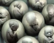 Human foetuses in eggs (Digital Composite)