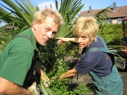 Die Landschaftsgärtner Susanne und Michael bringen den Zechenhaus-Garten auf Hochglanz: Mit Palmen, Bananenstauden und mediterranen Gewächsen holen sich die beiden den Süden ins Ruhrgebiet!  Die Verwendung des sendungsbezogenen Materials ist nur mit dem Hinweis und Verlinkung auf TVNOW gestattet.