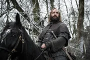 Sandor 'The Hound' Clegane (Rory Mccann)
