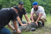 L-R: Oliver, Robert and Eric Young holding an alligator.