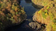 Mit dem Wasser kehren auch viele Tier- und Pflanzenarten in die Schorfheide zurück.