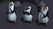 L-R: Kowalski, Skipper, Rico