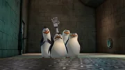 L-R: Kowalski, Private, Rico, Skipper