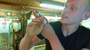 Pfleger Florian Rimpler aus dem Opel-Zoo ist begeistert von dem Chamäleon, das mitten auf der befahrenen Straße gefunden wurde.
