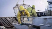 Wizard crew sorting crab at the table