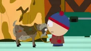 Stan