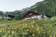 Die Litzlhofalm Landschaft