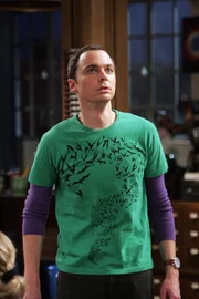 Eine neue Mieterin zieht im Haus ein, und alle außer Sheldon (Jim Parsons) sind von ihr sofort angetan ...