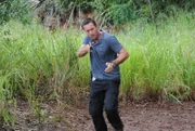 Gibt alles, um Chin und Kono zu retten: Steve (Alex O'Loughlin) ...