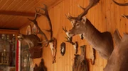 Rustikales Ambiente im Gasthaus am Gorinsee