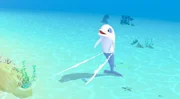 Der weiße Delfin Zoom freut sich. Er hat am Ufer seinen Freund Yann entdeckt. Er wird ihn zu Yanns kleiner Schwester Marina führen, die sich davongeschlichen hat, um eine Meerjungfrau zu finden.