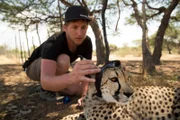 Mini-Cam Experte, Chris Watts, probiert seine Prototyp-Kamera auf "Pride", einen gefangenen Gepard bei Harnas Wildlife Foundation aus.