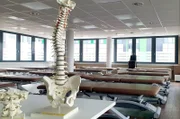 Fachschule oder Hochschulstudium? Über die richtige Physio-Ausbildung wird seit Jahren gestritten.