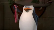 Skipper