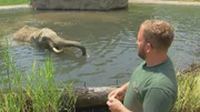 Elefantenbulle Tamo aus dem Opel-Zoo plantscht im kühlen Nass. Pfleger Marcel König ist glücklich.