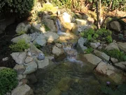 Ed explains that the healing pond is not just for looks, "One of the most important elements of the healing garden is not just the serenity of the pond and the beauty, but it actually has a function."