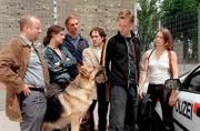 (v.li.): Martin Weinek (Fritz Kunz), Clelia Sarto (Kathrin), Markus Gertken (Reinhard), Alexander Pschill (Marc Hoffmann), Nikolaus Benda (Piet Fischer), Elke Winkens (Niki Herzog).