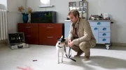 Der einzige Zeuge am Tatort war Hermann, der Hund der Ärztin. Doch leider kann er den Ermittlern (Jonas Laux) nicht sehr viel verraten.
