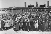 Die Zwangsarbeiter im Zweiten Weltkrieg eint ein Schicksal: das Zerbrechen ihrer jugendlichen Träume, der Verlust ihrer Heimat und die erzwungene Arbeit für den Feind.