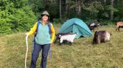 Anna hat als Hirtin viel gelernt und kann die Herde alleine führen.
