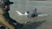 Die Zeit läuft ab, und das Team muss zum Fraser River zurückkehren, um den 300 Pfund schweren riesigen Weißen Stör zu finden und zu markieren, nach dem sie suchen. Doch zunächst müssen sie einen Weg aus der abgelegenen Wildnis finden, um ihre Lachsproben abzuliefern. Durch ein Unwetter gestrandet, müssen sie brutale Stromschnellen überleben, sich von furchterregenden Klippen abseilen, einen massiven Gletscher erklimmen und über schroffe Berge wandern, wenn sie erfolgreich sein wollen. Und als sie schließlich einen riesigen prähistorischen Fisch an der Angel haben, steht den Jungs ein nervenaufreibendes Ende ihrer Mission im Norden bevor.