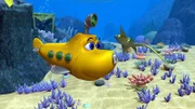 Timmy entdeckt einen Fisch, wie er ihn zuvor noch nie gesehen hat.