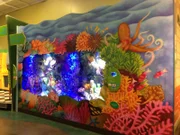In Philadelphia, an aquarium called "save the fish from the coral reefs".