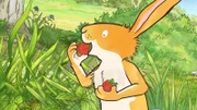 Der kleine Hase kann der Versuchung nicht widerstehen und isst die Erdbeeren auf, bevor er beim großen Hasen ankommt.
