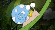 Kalli-Schnecke findet es sehr gemütlich, mit seinem Haus herumzuschnecken. Aber dann kommt der schlimmste Schneckenfeind, der Star!