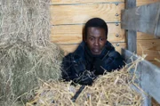 Felix Livingstone (Jerry Iwu)
