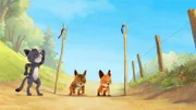 Rosie und Nero wollen in einem Rennen herausfinden, wer von beiden schneller läuft.