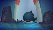 Ein Walbaby, das durch Timmys Sonar die Orientierung verloren hat sich hoffnungslos verirrt.