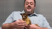 Rafiqi sits in his owner's lap.