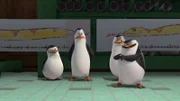 L-R: Private, Kowalski, Rico, Skipper