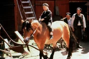 Michel reitet zufrieden nach Hause, nachdem er einem Bauern ein Pferd abgekauft hat.