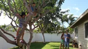 Home buyers Theresa Tiwari (L) & Sean Tiwari (R) watching their kids climb a tree in the backyard of the Kauhaa St house as seen on Hawaii Hunters (Action)