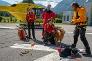 Dank der Bergretter Markus (Sebastian Ströbel, r.), Tobias (Markus Brandl, 2.v.r.), Michael (Robert Lohr, 2.v.l.) und Katharina (Luise Bähr, r.) hat Benni endlich wieder Boden unter den Pfoten.