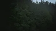 PORT PROTECTION, ALASKA- Two bald eagles sit in the trees around Port Protection. (Photo Credit: National Geographic Channels/Jesse Phinney)