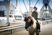 Befreit! Pinja (Sina Michel) reitet durch den Hamburger Hafen in die Freiheit.