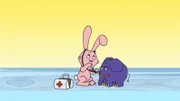 Bei Hase und Elefant geht es um die Nase.