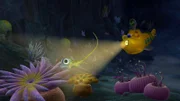 Timmy hat einen Fisch entdeckt, wie er ihn noch nie zuvor gesehen hat und verfolgt ihn in einen Unterwassertunnel.